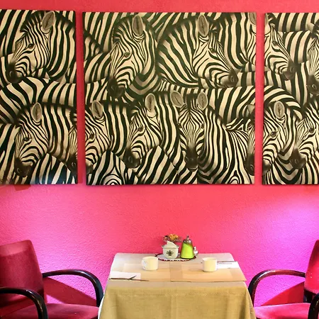 Renaissance Castres (Tarn)