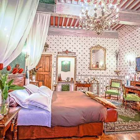 Hotel Renaissance Castres (Tarn)