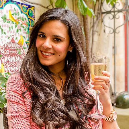 Hotel Renaissance Castres (Tarn)