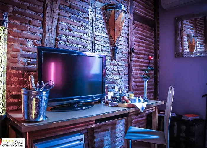 Renaissance 4* Castres (Tarn)