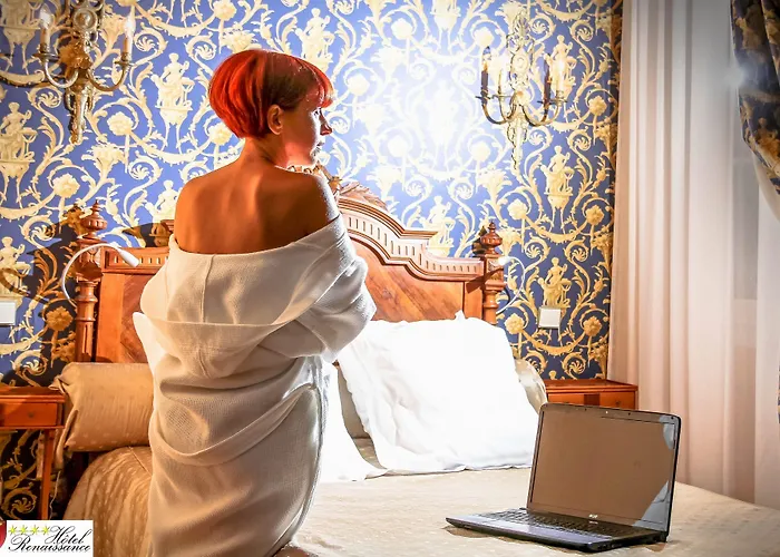 Отель Renaissance Кастр