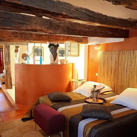 Renaissance Hotel Castres (Tarn)